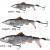 Savage Gear 3D SmashTail Minnow BESTEN KUNSTKODER Angelshop