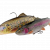 Savage Gear 4D Rattle Trout BESTEN KUNSTKODER Angelshop