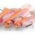 Savage Gear 4D Rattle Trout BESTEN KUNSTKODER Angelshop
