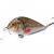 Kenart Bass BESTEN KUNSTKODER Angelshop