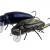 Microbait Wobbler Beetle BESTEN KUNSTKODER Angelshop