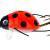 Wob-Art Wobbler Biedronka (Ladybird) BESTEN KUNSTKODER Angelshop