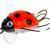 Wob-Art Wobbler Biedronka (Ladybird) BESTEN KUNSTKODER Angelshop