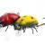 Microbait Wobbler Ladybird BESTEN KUNSTKODER Angelshop