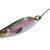 Jenzi Trout Spoon 3D BESTEN KUNSTKODER Angelshop