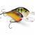 Rapala DT Series BESTEN KUNSTKODER Angelshop