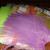 Hareline Dubbin Flat Wing Saddles BESTEN KUNSTKODER Angelshop