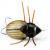 Imago Lures Maybug BESTEN KUNSTKODER Angelshop