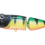Strike Pro J.S.M. II BESTEN KUNSTKODER Angelshop