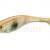 Prorex Gummifische Prorex Classic Shad DF BESTEN KUNSTKODER Angelshop