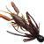 Savage Gear Gummiköder 3D Crayfish Rattling BESTEN KUNSTKODER Angelshop