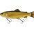 Savage Gear 3D Line Thru Pulsetail Trout BESTEN KUNSTKODER Angelshop