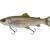 Savage Gear 3D Line Thru Pulsetail Trout BESTEN KUNSTKODER Angelshop