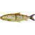 Savage Gear 3D Line Thru Whitefish BESTEN KUNSTKODER Angelshop