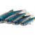 Savage Gear Gummifische 3D River Roach Bulk BESTEN KUNSTKODER Angelshop