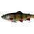 Savage Gear 4D Line Thru Rattle Trout BESTEN KUNSTKODER Angelshop