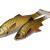 Savage Gear 4D River Roach BESTEN KUNSTKODER Angelshop