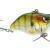 SPRO Aruku Shad BESTEN KUNSTKODER Angelshop