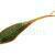 Mikado Fish Fry 5.5cm BESTEN KUNSTKODER Angelshop