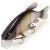 Quantum Freak of Nature Hybrid Tench BESTEN KUNSTKODER Angelshop