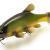 Quantum Gummifische Freak of Nature Swimbait Tench BESTEN KUNSTKODER Angelshop