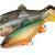 FOX Rage Gummifische Giant Replicant BESTEN KUNSTKODER Angelshop