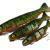 FOX Rage Loaded Jointed Pro Shads BESTEN KUNSTKODER Angelshop