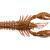 Mustad Mezashi Rock Lobster BESTEN KUNSTKODER Angelshop