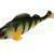 Mikado MFT Perch 10cm BESTEN KUNSTKODER Angelshop