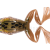 LiveTarget Freestyle Frog 2.0 BESTEN KUNSTKODER Angelshop