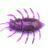 FishUp Maybug BESTEN KUNSTKODER Angelshop