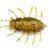 FishUp Maybug BESTEN KUNSTKODER Angelshop
