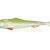 Qubi Lures Sardine Shad BESTEN KUNSTKODER Angelshop