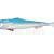Qubi Lures Sardine Shad BESTEN KUNSTKODER Angelshop