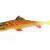Qubi Lures Sliz 10cm BESTEN KUNSTKODER Angelshop