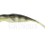 Qubi Lures Syrena Vert 25cm BESTEN KUNSTKODER Angelshop