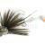 Savage Gear Mutant Rat BESTEN KUNSTKODER Angelshop