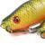 FOX Rage Pro Grub Loaded BESTEN KUNSTKODER Angelshop