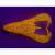 Lucky John Pro Series Laser Frog BESTEN KUNSTKODER Angelshop