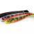 FOX Rage Gummifische Pro Shad Natural Classic Ultra UV Bulk BESTEN KUNSTKODER Angelshop