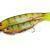 FOX Rage Pro Shads Loaded BESTEN KUNSTKODER Angelshop