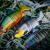 FOX Rage Replicant Jointed BESTEN KUNSTKODER Angelshop