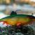 FOX Rage Gummifische Replicant Wobble BESTEN KUNSTKODER Angelshop