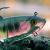 FOX Rage Gummifische Replicant Wobble BESTEN KUNSTKODER Angelshop