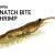 Magbite Snach Bite Shrimp BESTEN KUNSTKODER Angelshop