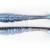 X Zone Lures Swammer 2.75" BESTEN KUNSTKODER Angelshop