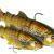 Westin Tommy the Trout Multi Jointed R2F BESTEN KUNSTKODER Angelshop