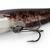 FOX Rage Ultra Natural Catfish Replicant BESTEN KUNSTKODER Angelshop