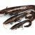 FOX Rage Ultra Natural Catfish Replicant BESTEN KUNSTKODER Angelshop