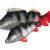 FOX Rage Ultra Natural Fillets BESTEN KUNSTKODER Angelshop